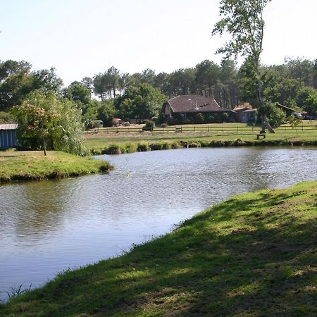 Gite 4kms plage grand domaine privé lacs natura 2000 Lit-et-Mixe Extérieur photo