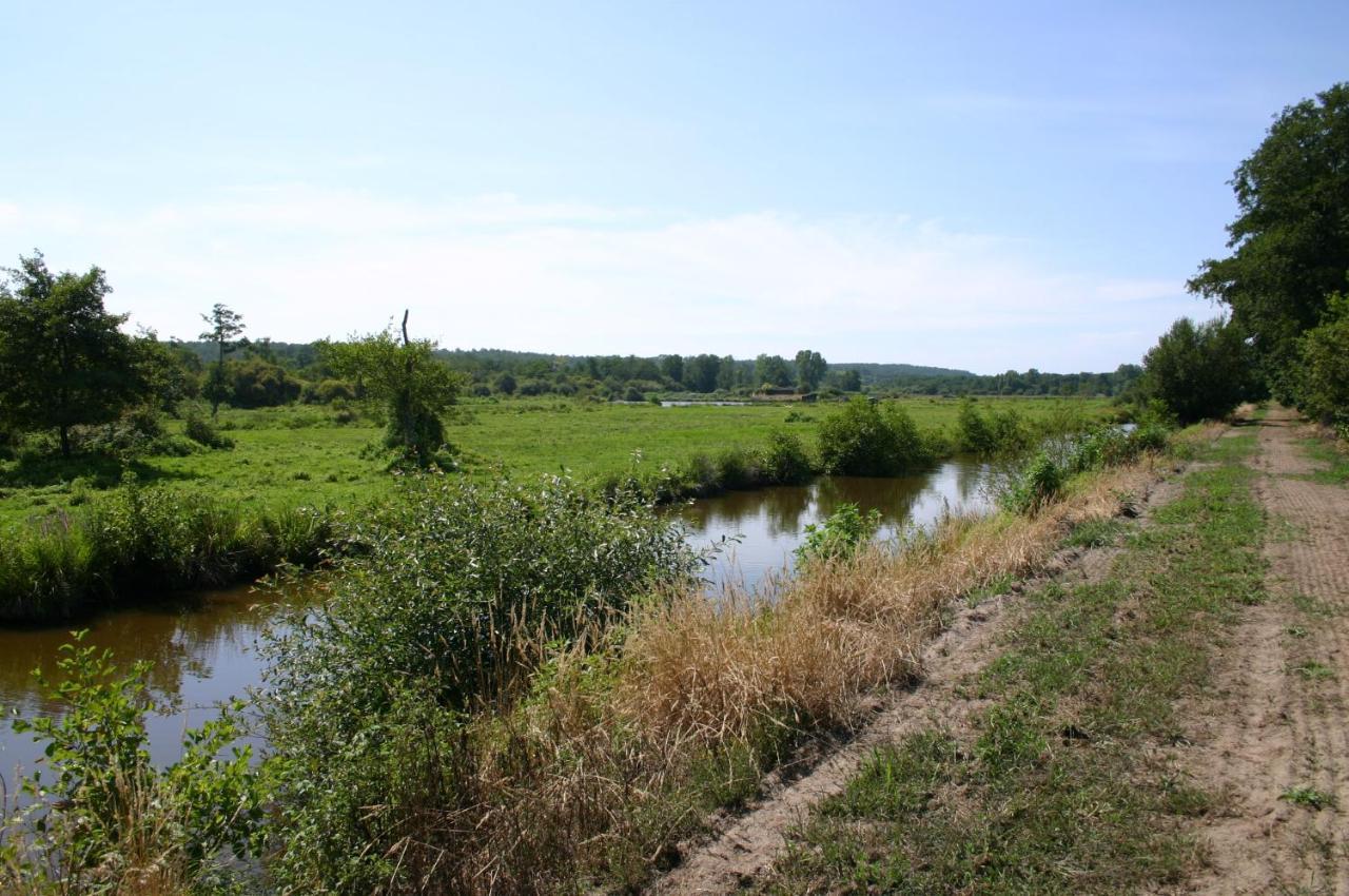 Gite 4kms plage grand domaine privé lacs natura 2000 Lit-et-Mixe Extérieur photo