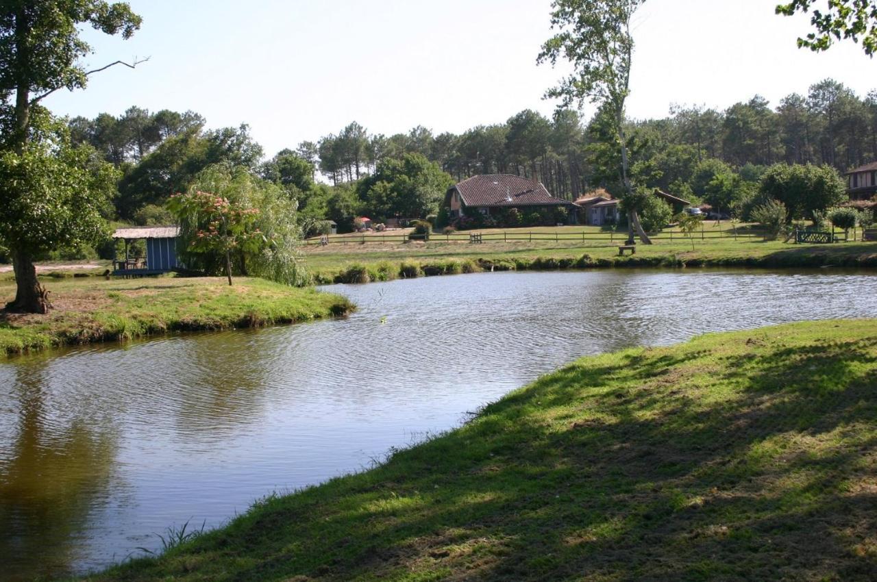 Gite 4kms plage grand domaine privé lacs natura 2000 Lit-et-Mixe Extérieur photo